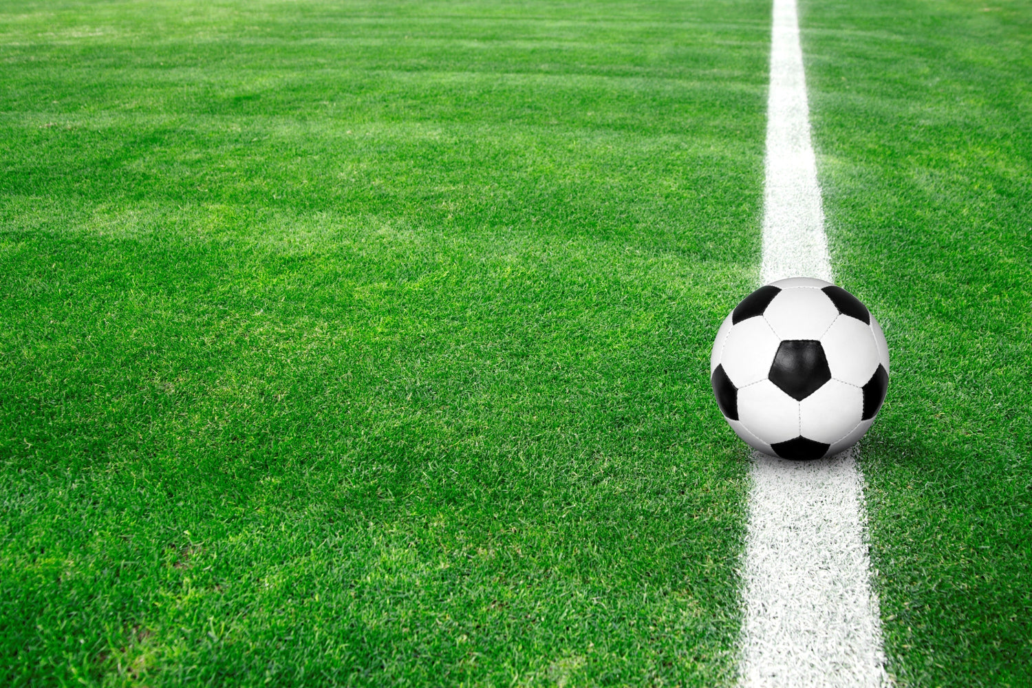 Fútbol