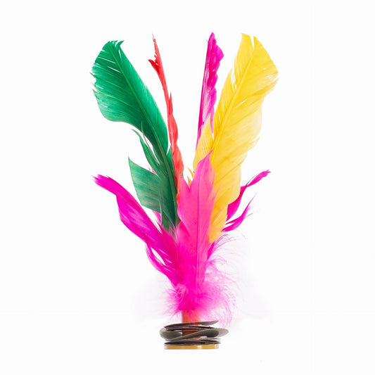 LOTE 6 INDIAKAS FUTBOL PLUMA MULTICOLOR
